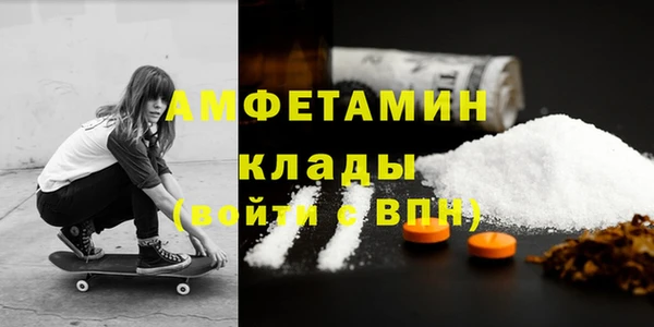 индика Балабаново