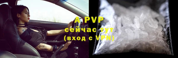 индика Балабаново