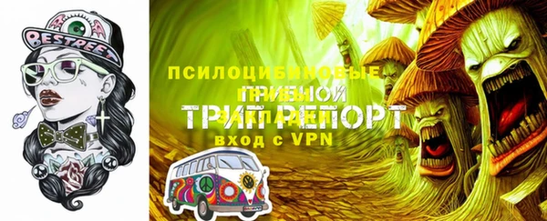 индика Балабаново