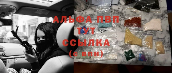 индика Балабаново