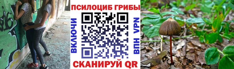 Псилоцибиновые грибы прущие грибы  как найти закладки  Красный Холм 