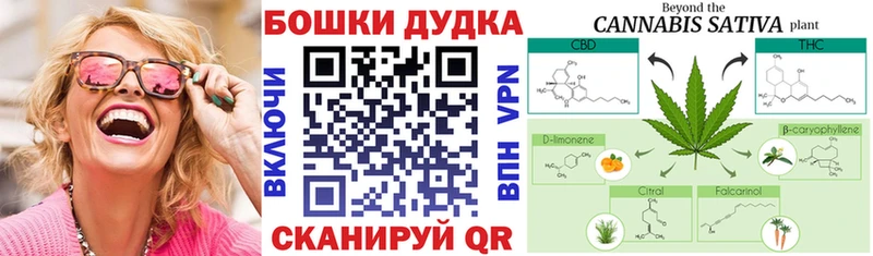 Бошки Шишки семена  Красный Холм 